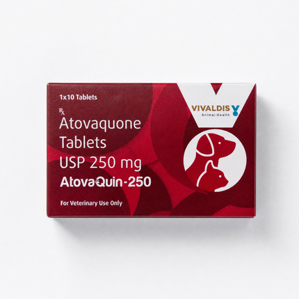 Vivaldis Atovaquin 250mg