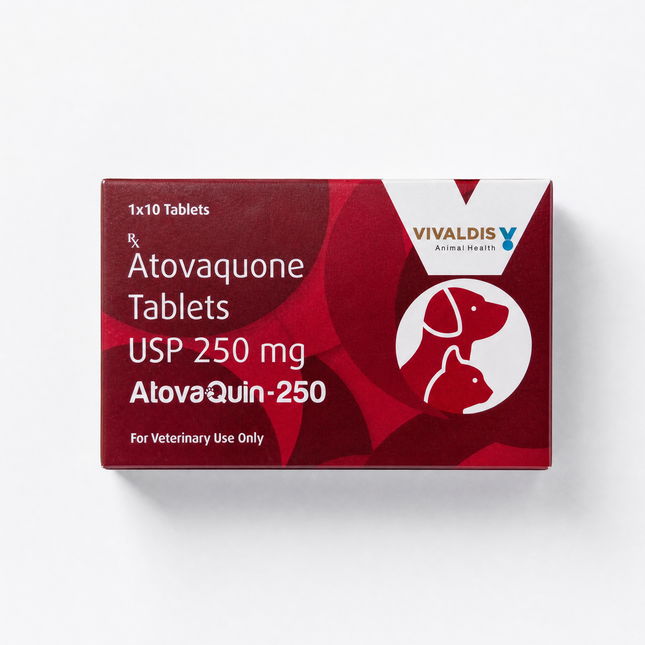 Vivaldis Atovaquin 250mg