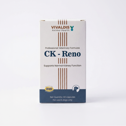 Vivaldis CK - Reno (Dogs)